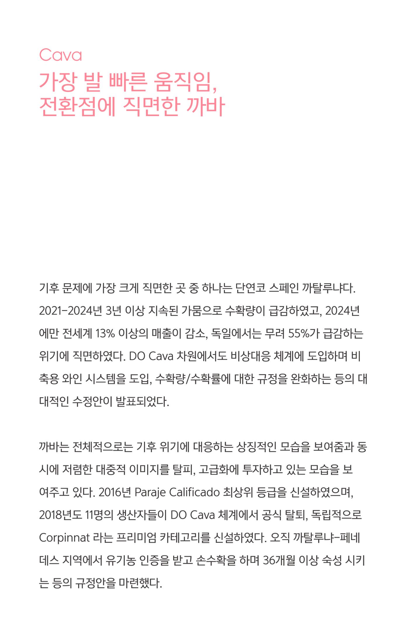 2025년 7월 와인타임즈 😎 13p