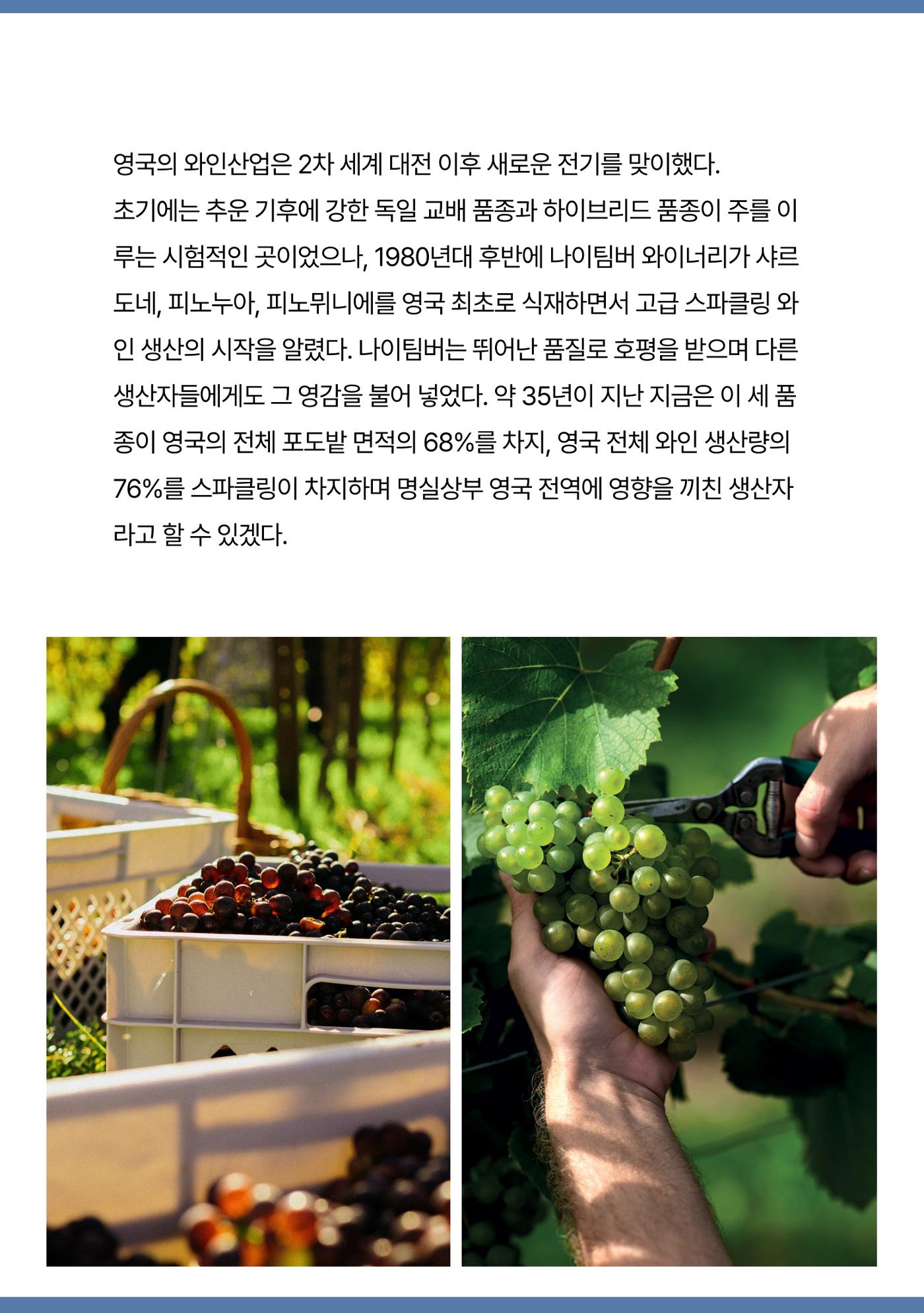 2025년 9월 와인타임즈🌝 14p