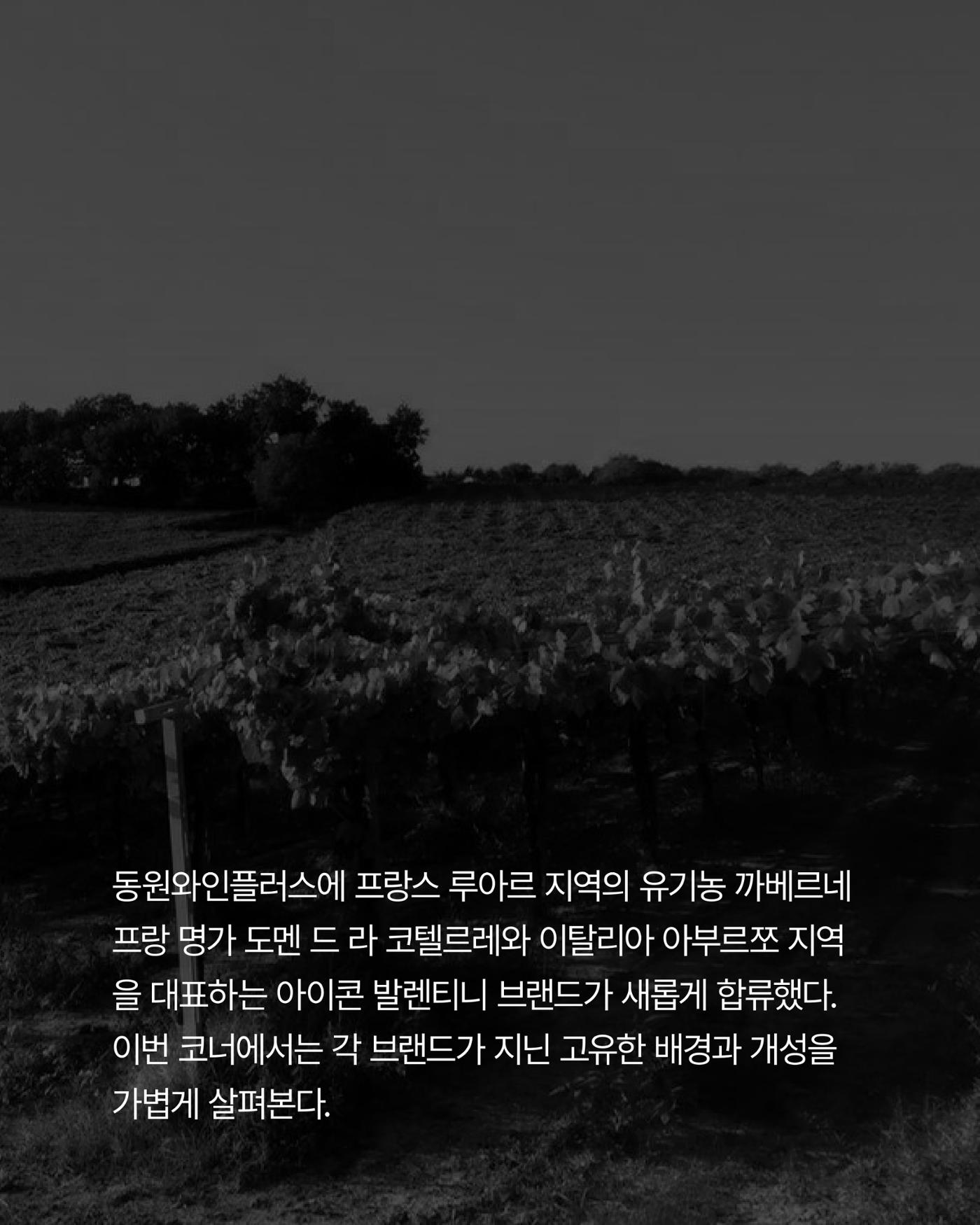 2026. 2월 와인타임즈 4p